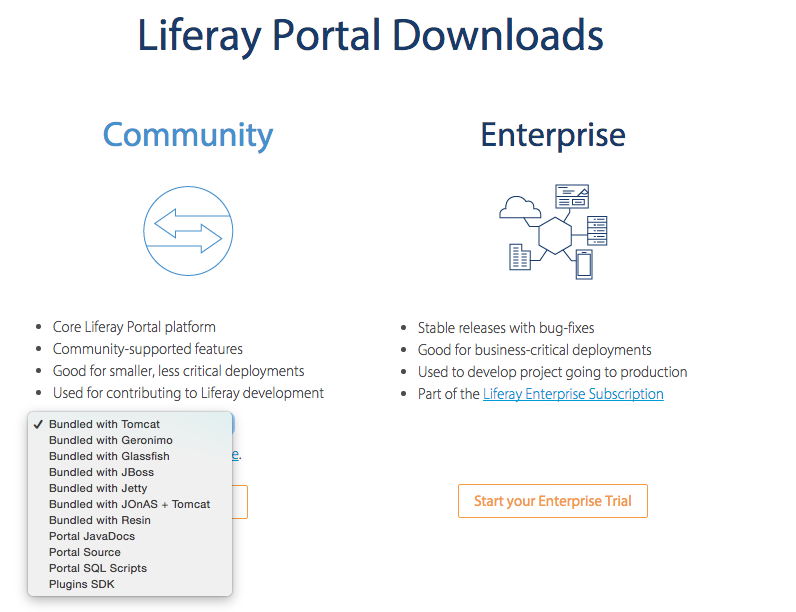 Download Liferay Version