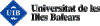 Desarrollador Oficina Web